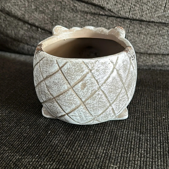 Hedgehog Indoor Ceramic Planter Pot - Picture 5 of 9